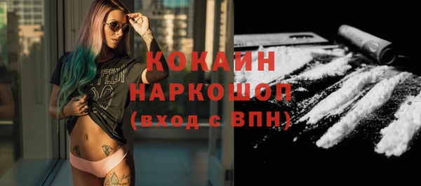 стаф Новодвинск