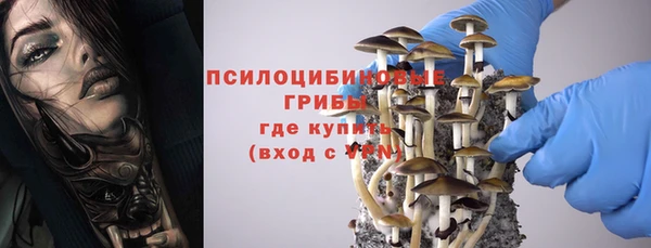 гашик Алзамай
