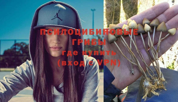 ешки Алексин