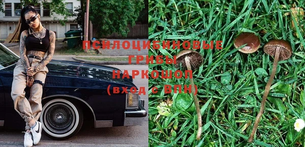 MDMA Новозыбков