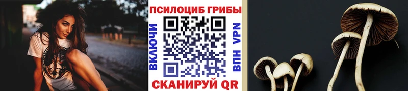 что такое наркотик  Сунжа  Псилоцибиновые грибы ЛСД 