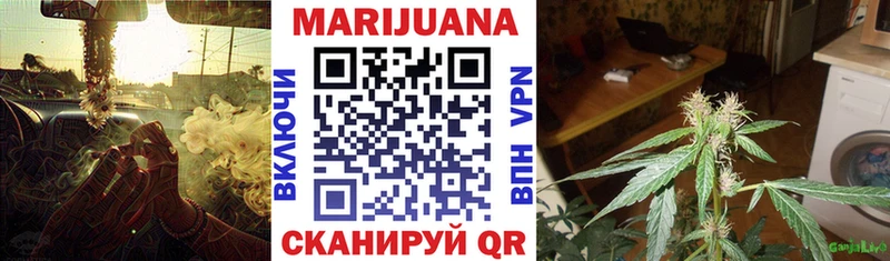 МАРИХУАНА ГИДРОПОН Сунжа